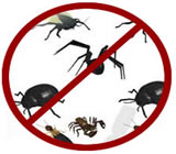 Dedetizadoras em Búzios