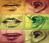 Fonoaudiologia em Búzios