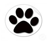 Pet Shops em Búzios